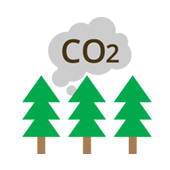 杉の二酸化炭素吸収量126本分
